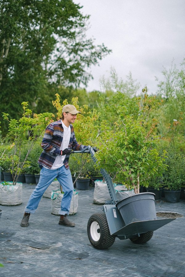 Expression paysagère : votre expert en jardinage à l'isle